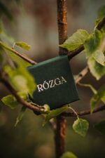 Pozłacane kolczyki wiszące LISTKI BRZOZY - obrazek 8