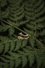 Pozłacany pierścionek gałązka DĘBU - obrazek 7